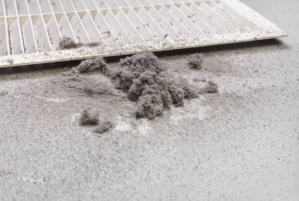 Best Best Air Duct Cleaning Company  in Leonville, LA